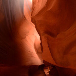 Hidden Light